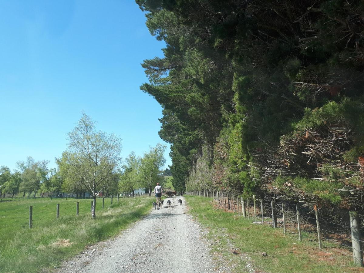 Te Anau Farm Cottage Екстериор снимка